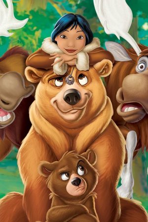 Anh Em Nhà Gấu 2 Anh Em Nhà Gấu 2