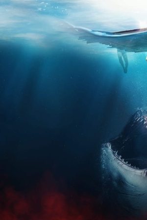 Cá Mập Trắng Khổng Lồ Cá Mập Trắng Khổng Lồ