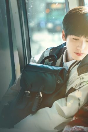 Anh Đào Hổ Phách Anh Đào Hổ Phách