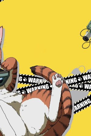 Đi Đêm Lắm Có Ngày Gặp Mèo Đi Đêm Lắm Có Ngày Gặp Mèo