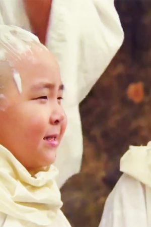 Thiếu Lâm Tiểu Tử 2 (Tân Ô Long Viện 2) Thiếu Lâm Tiểu Tử 2 (Tân Ô Long Viện 2)