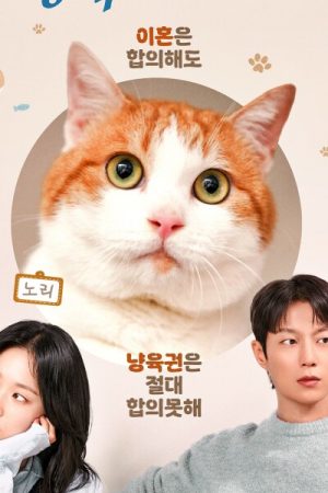 Cuộc Chiến Giành Quyền Nuôi Mèo