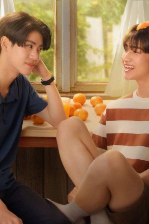 Cây cam ở nhà cậu ấy nhưng quả cam luôn rơi sang nhà tôi