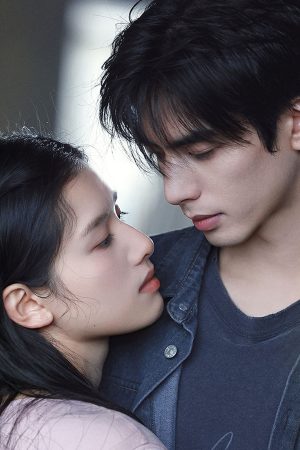 Chó Hoang Và Xương Chó Hoang Và Xương